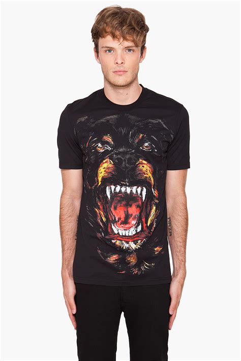 givenchy rottweiler 2011|givenchy rottweiler for sale.